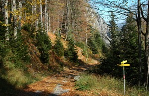 Wanderweg im Rofan